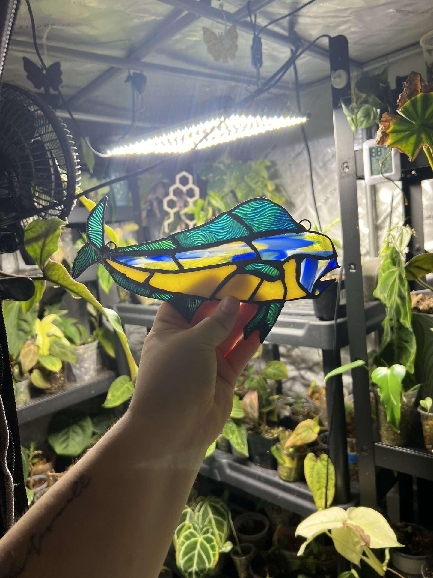 Custom Stained Glass Physical Pattern